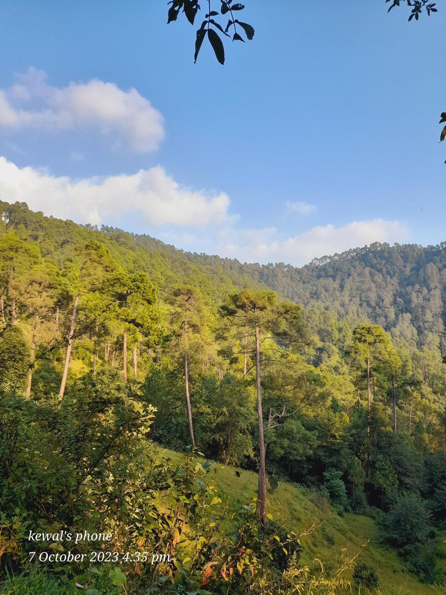 Joshi Cottage Binsar Εξωτερικό φωτογραφία